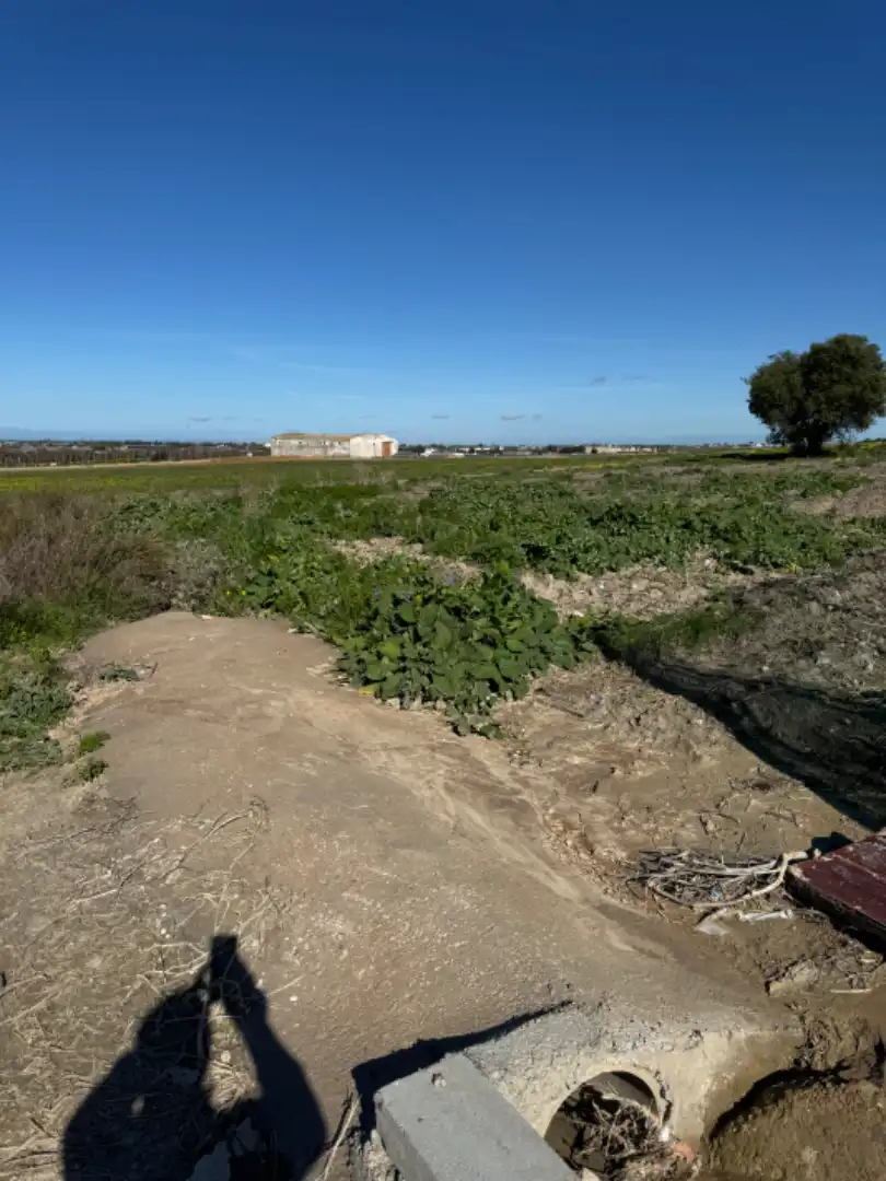 Rustikales Grundstück zum Verkauf in Chipiona Norte
