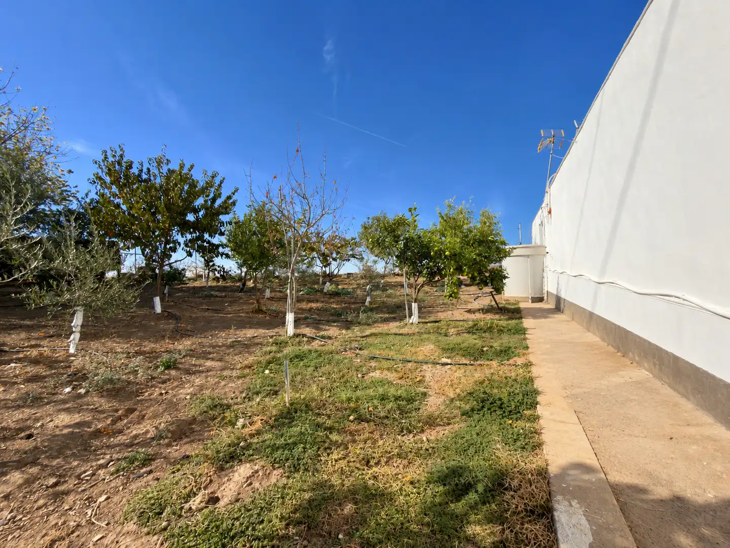 Casa o xalet en venda en Espera, Cádiz