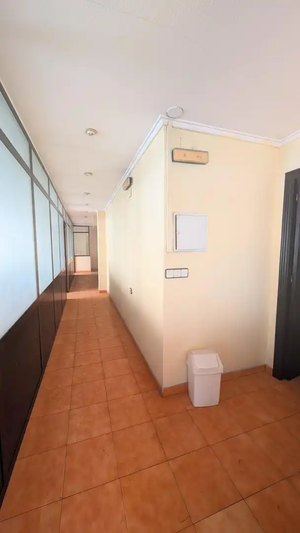 Büro zur Miete in Elche ciudad
