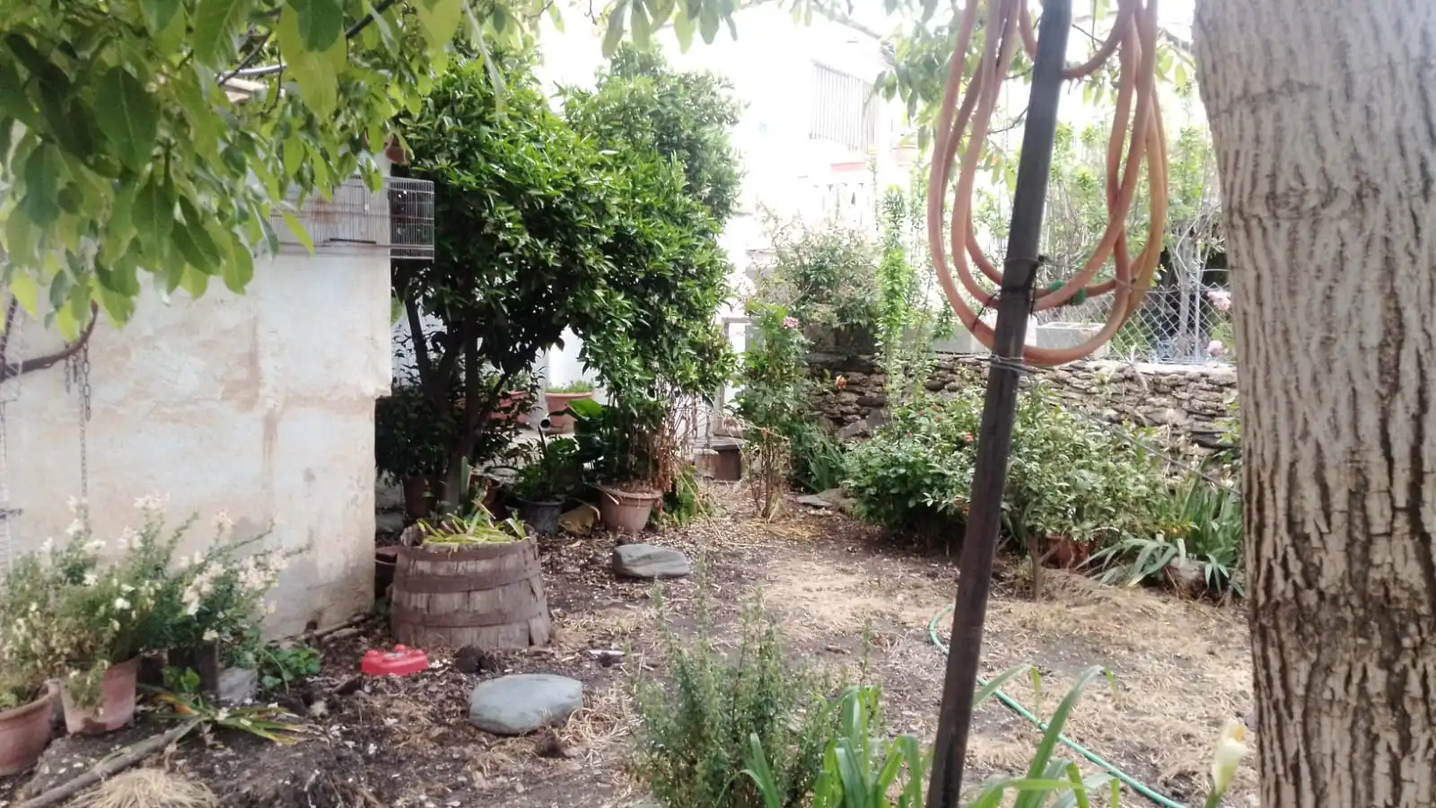 Casa amb terrassa en venda a Cádiar, imagen 4