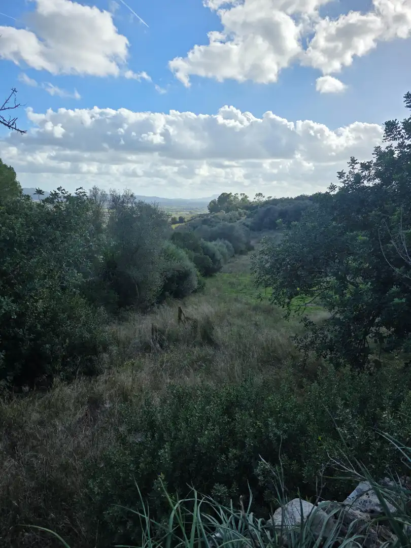 Rustikales Grundstück zum Verkauf in Camí de Son Dalmau 2, imagen 2