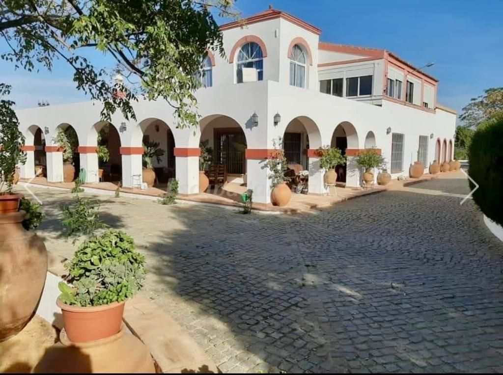 Exterior view of Country house for sale in Alcalá de Guadaira  with Air Conditioner, Heating and Private garden