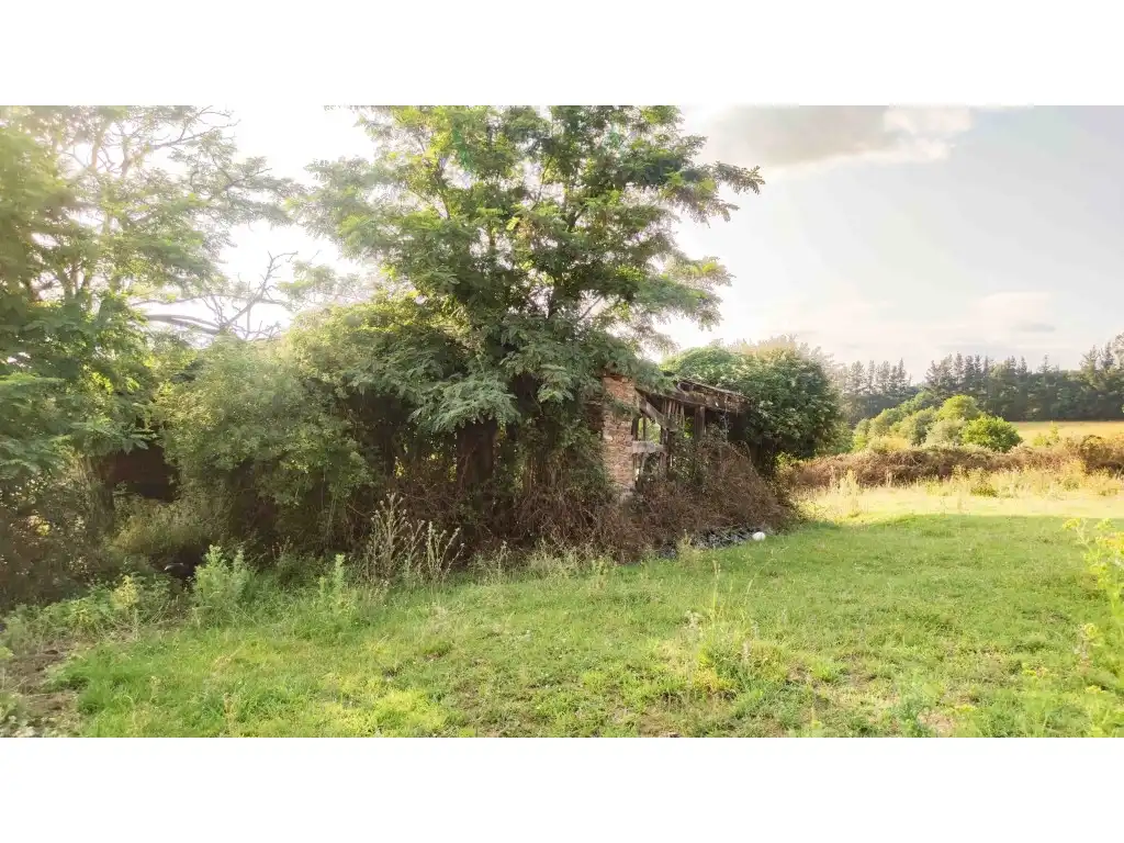 Casa o chalet en venta en LUGAR DE RIBA-O SAVIÑAO, O Saviñao
