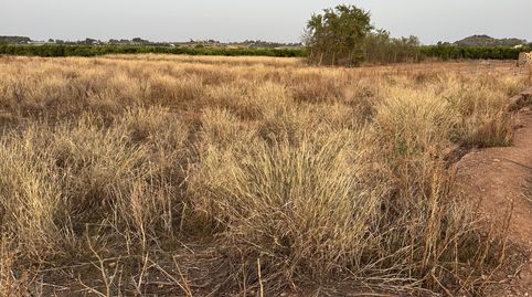 Foto 4 de Residencial en venta en Rafelbuñol-rafelbunyol - , Pobla de Farnals, La Pobla de Farnals