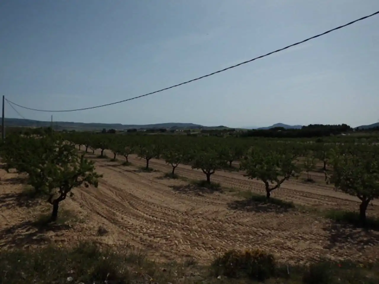 Terreno rustico in vendita a Almansa, imagen 2