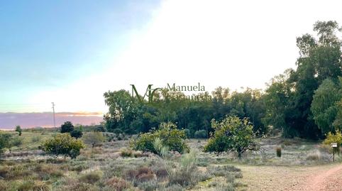 Foto 3 de Finca rústica en venta