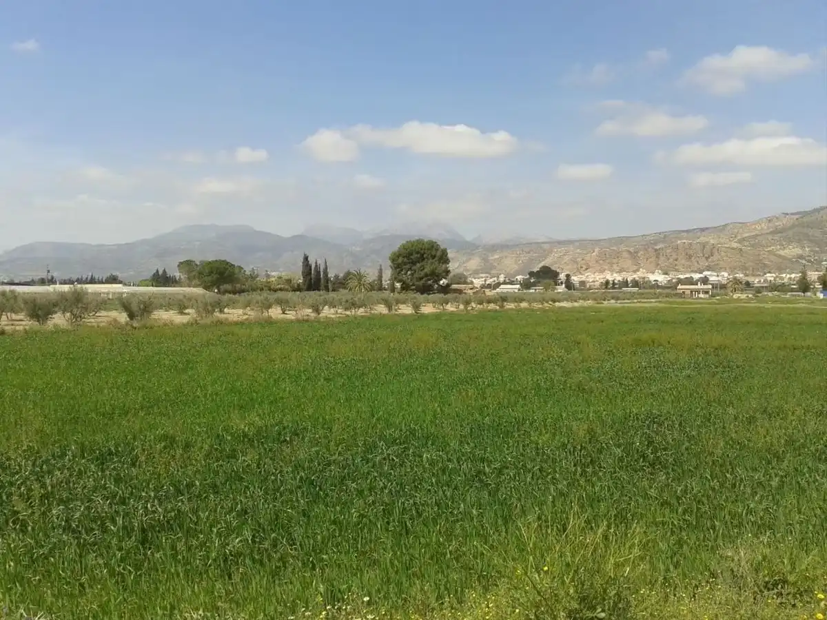Terreni e lotti in vendita a Alhama de Murcia ciudad, imagen 19