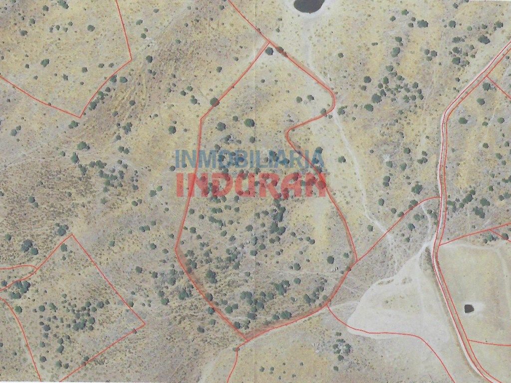 Finca rústica en venta en Villar del Pedroso