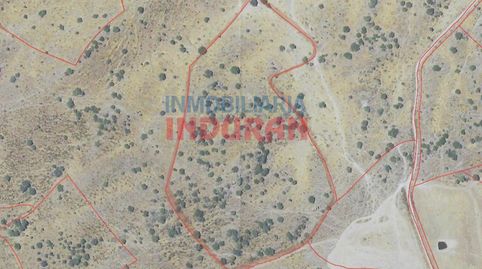 Finca rústica de 5,3 ha en Villar del Pedroso