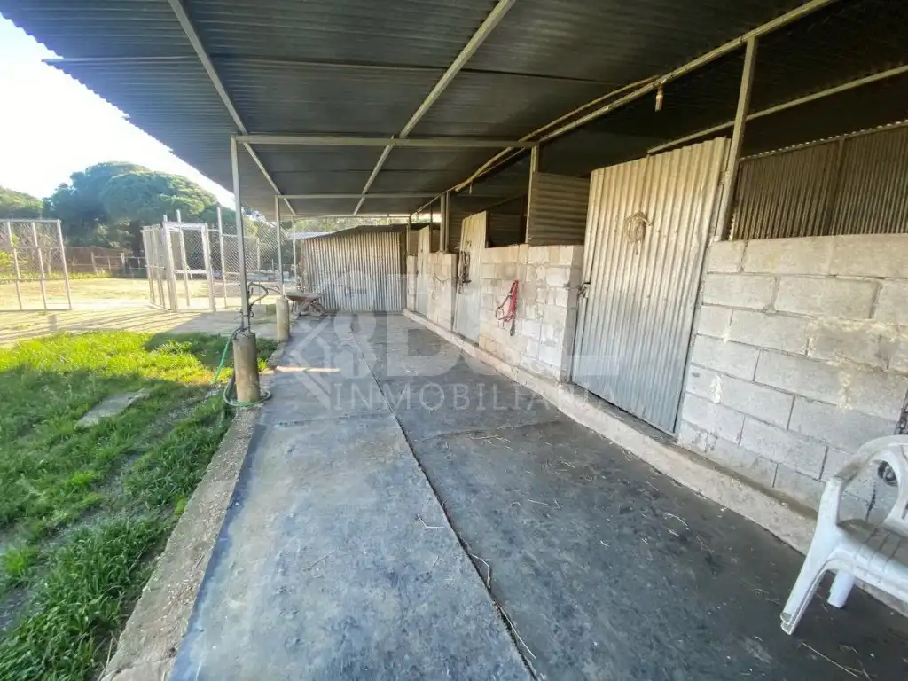 Finca rústica en venta en Gibraleón