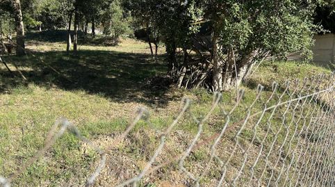 Terreno en alquiler en Sils, immagine 4