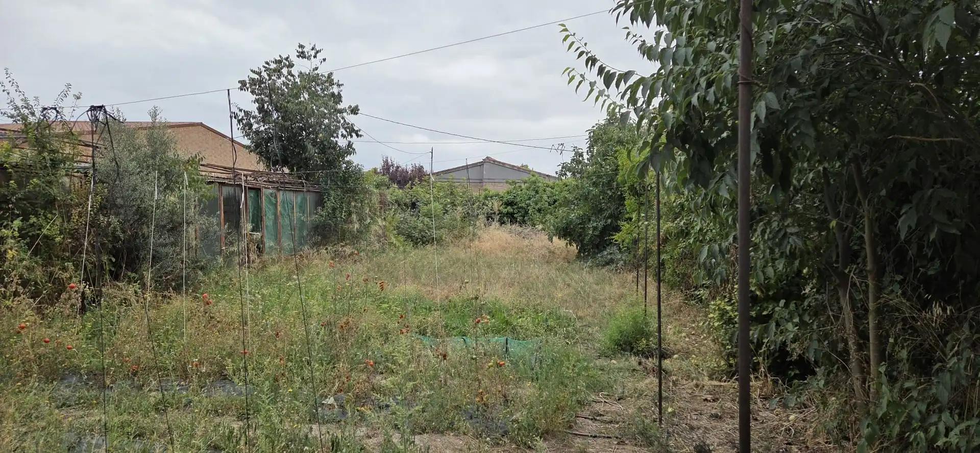 Residential land for sale in Tàrrega