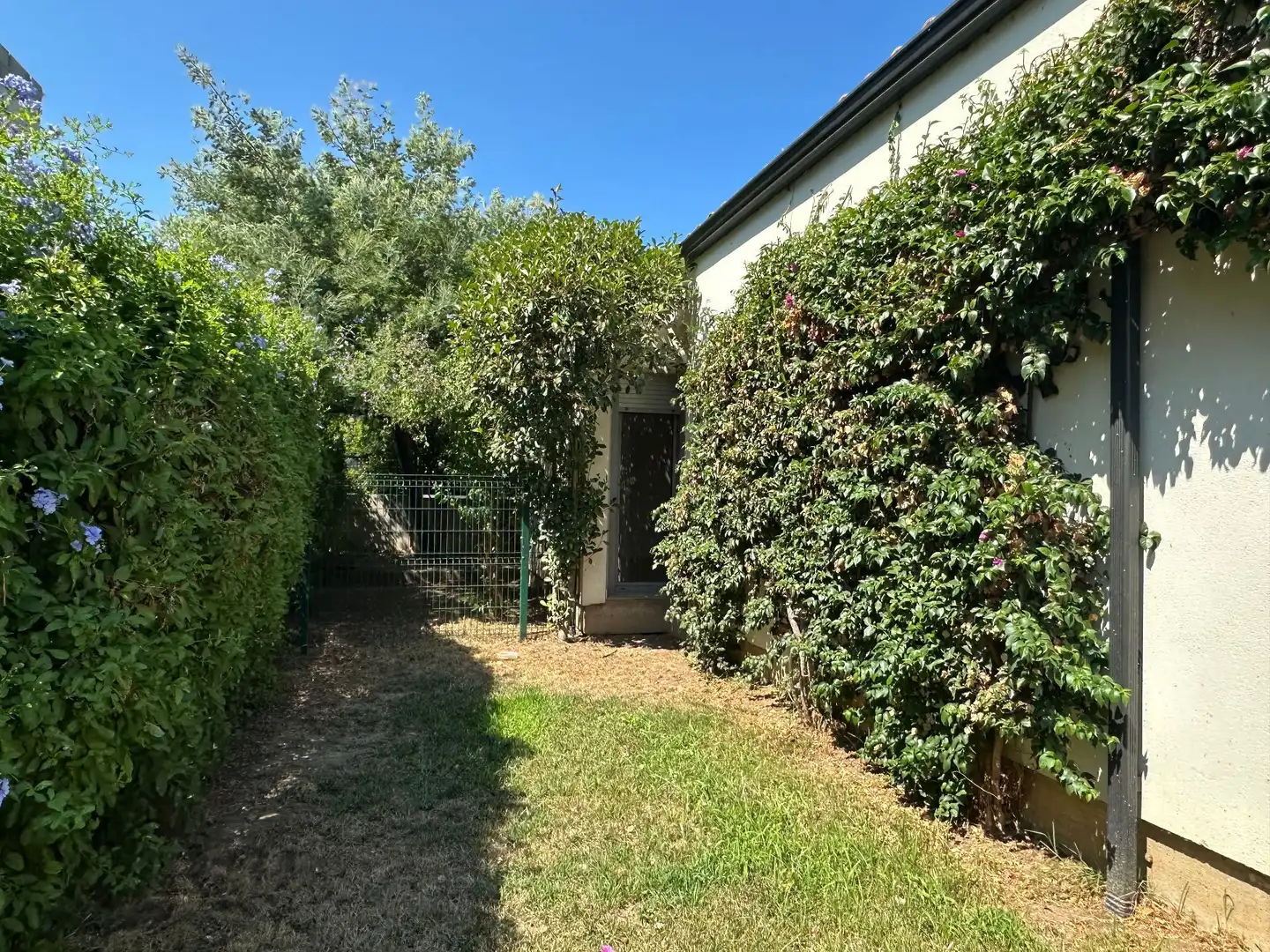 Jardín de Casa o chalet en venta en L'Estartit con Jardín privado, Trastero y Piscina