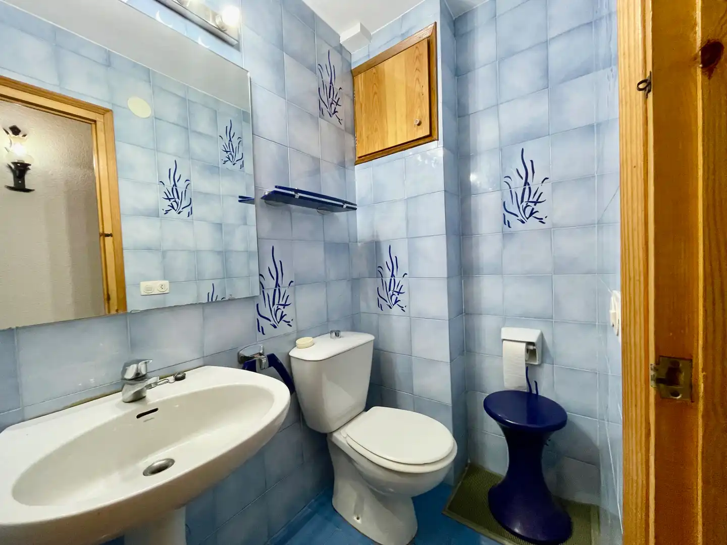 Baño de Ático en venta en Setcases con Calefacción, Terraza y Amueblado