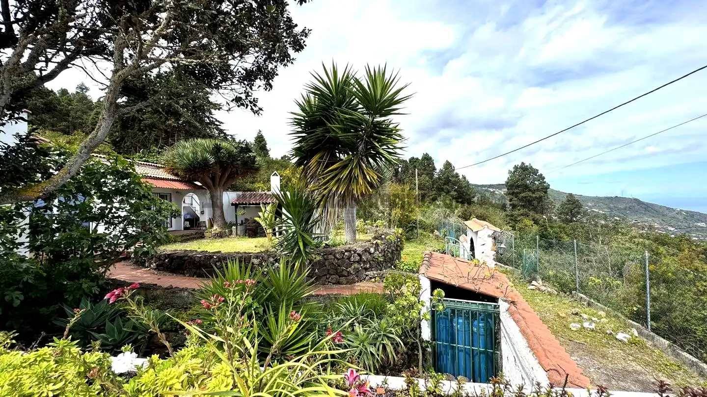 Jardín de Finca rústica en venta en Icod de los Vinos con Piscina