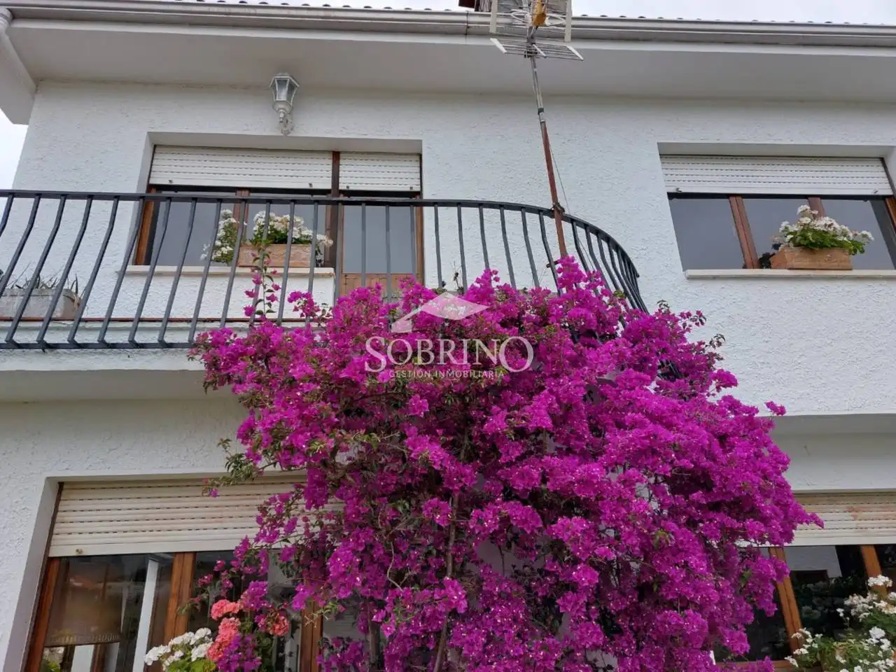 Villa mit Garten zum Verkauf in Calle Celorio 1, imagen 7