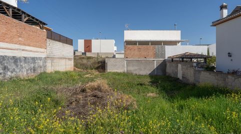 Terreno urbano en Vista Alegre, Peligros, immagine 5