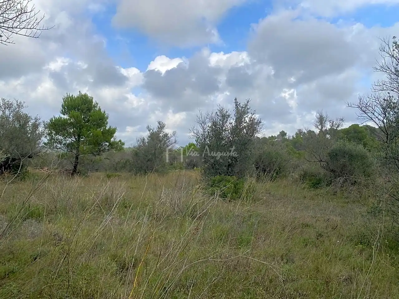 Terrain rustique à vendre à Bordes, imagen 15