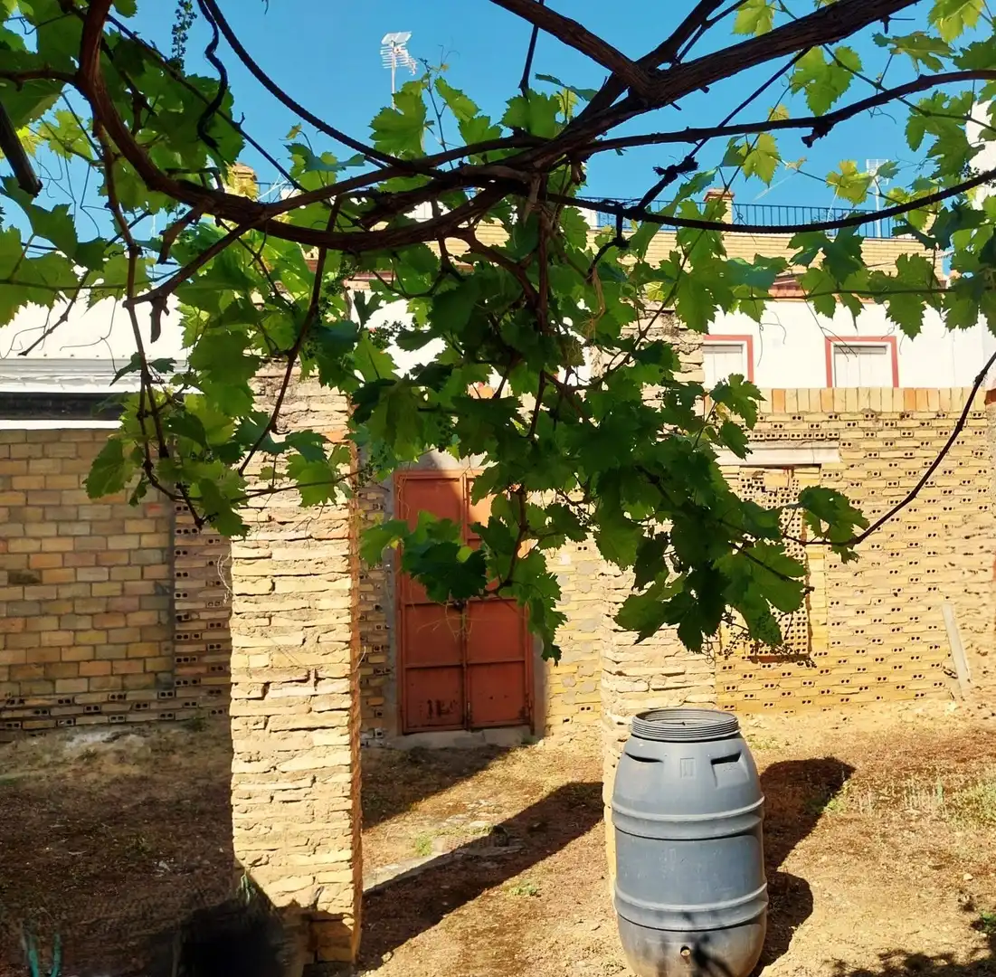 Terreni e lotti in vendita a Carmona, imagen 2