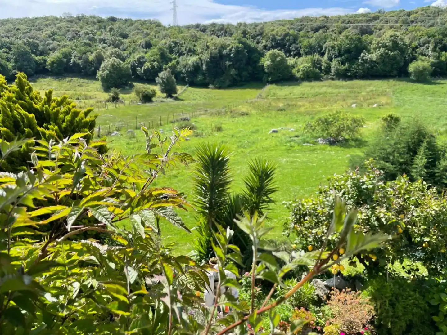 Jardín de Casa o chalet en venta en Arnuero