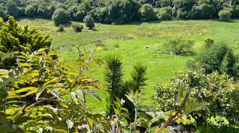 Foto 4 de Casa o chalet en venta en Arnuero, Cantabria