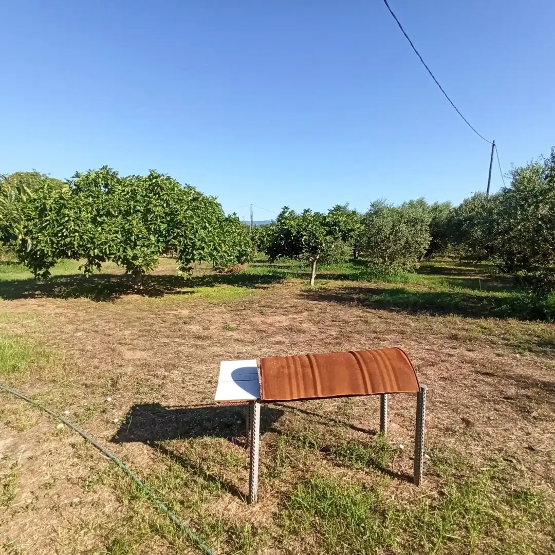Finca rústica en venta en Reus