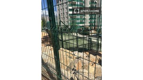 Photo 4 of Flat to share in Las Azaleas - Alkadir, Alicante