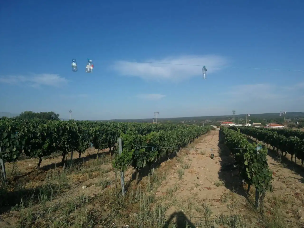 Finca rústica en venta en Puebla de Azaba