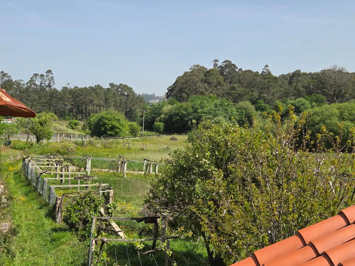 Jardí de Casa o xalet en venda en Sanxenxo amb Jardí privat i Terrassa