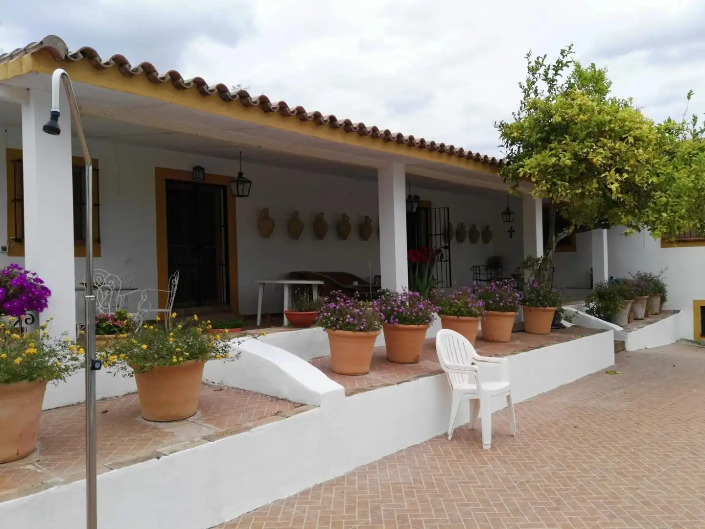 Jardí de Finca rústica en venda en Arcos de la Frontera amb Jardí privat i Piscina comunitària