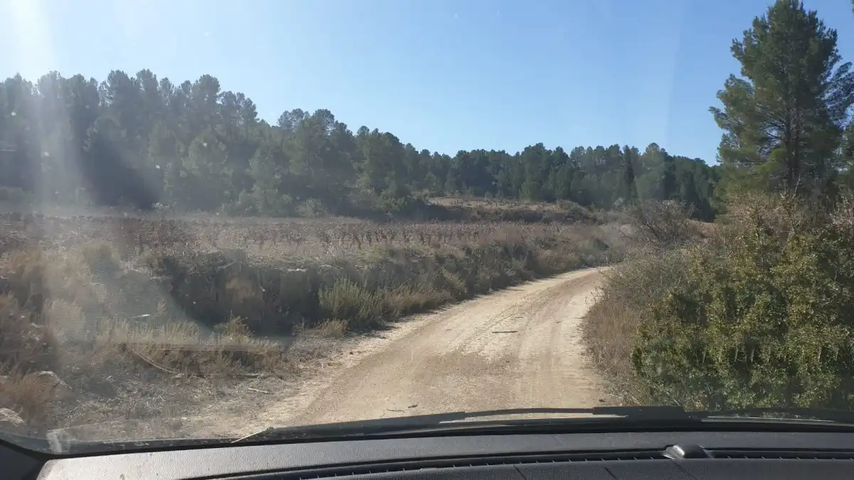 Terrain résidentiel à vendre à Requena, imagen 12