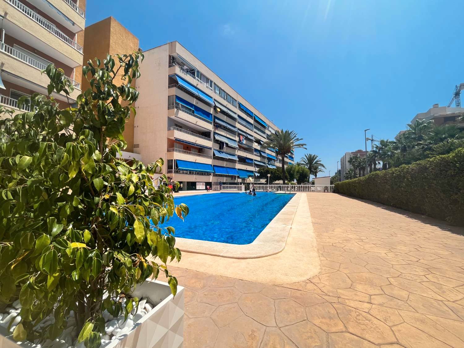 Piscina de Apartament en venda en Orihuela amb Terrassa, Piscina i Moblat