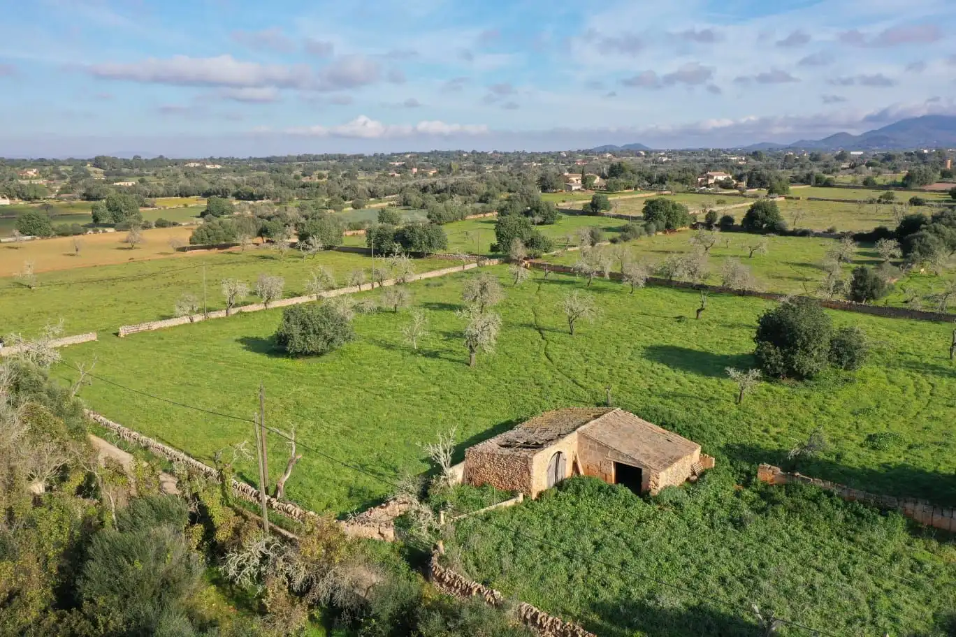 Rural land for sale in Cas Concos - Santanyí