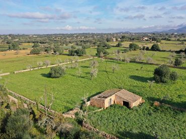 Rural land for sale in Cas Concos - Santanyí