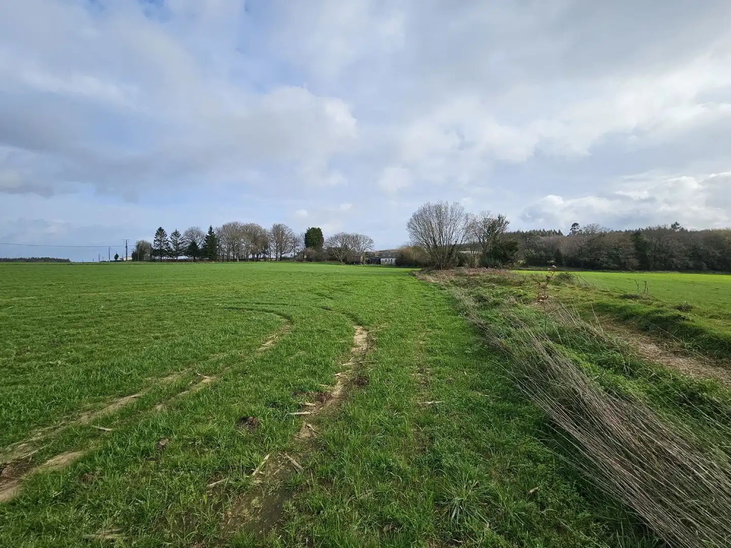 Finca rústica en venta en Abegondo