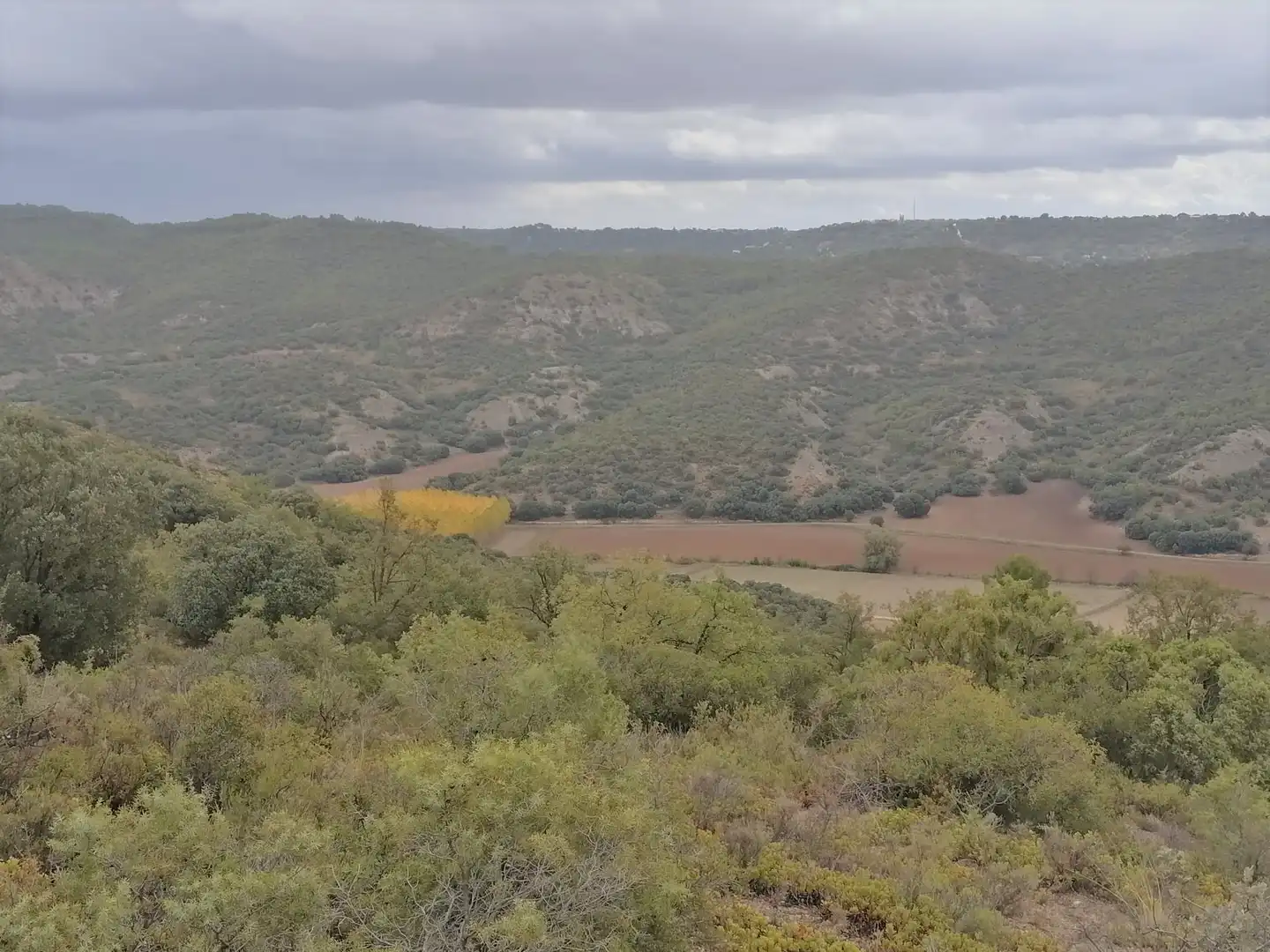 Terrain rustique à vendre à Monte Cutradas, imagen 4