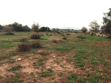 Rural land for sale in Poligono Poligon 25 1334