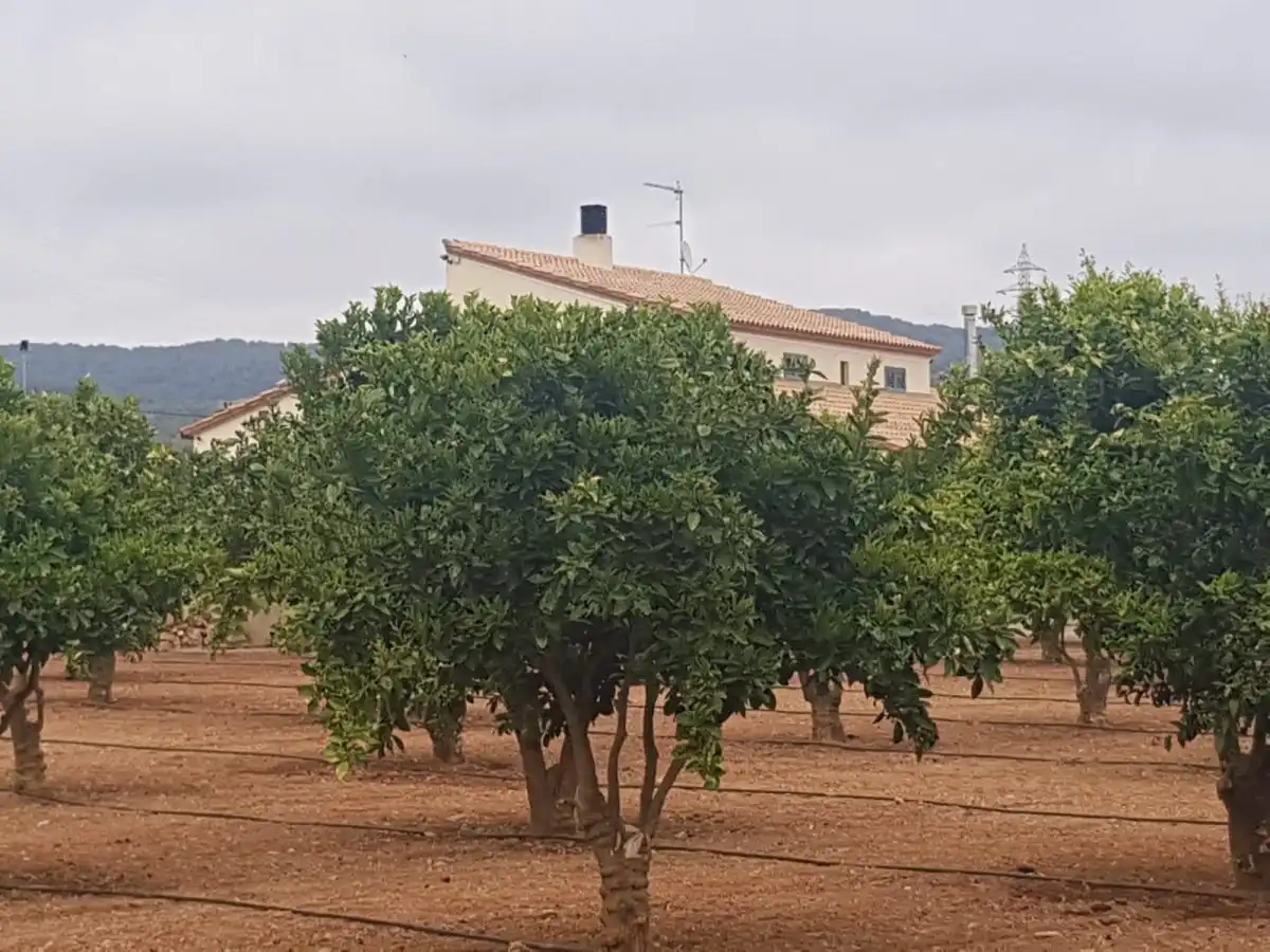 Finca rústica en venda en Roda de Berà amb Aire condicionat, Calefacció i Jardí privat