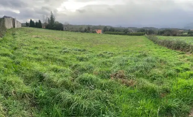 Residential land for sale in Campa San Roque 3, imagen 15