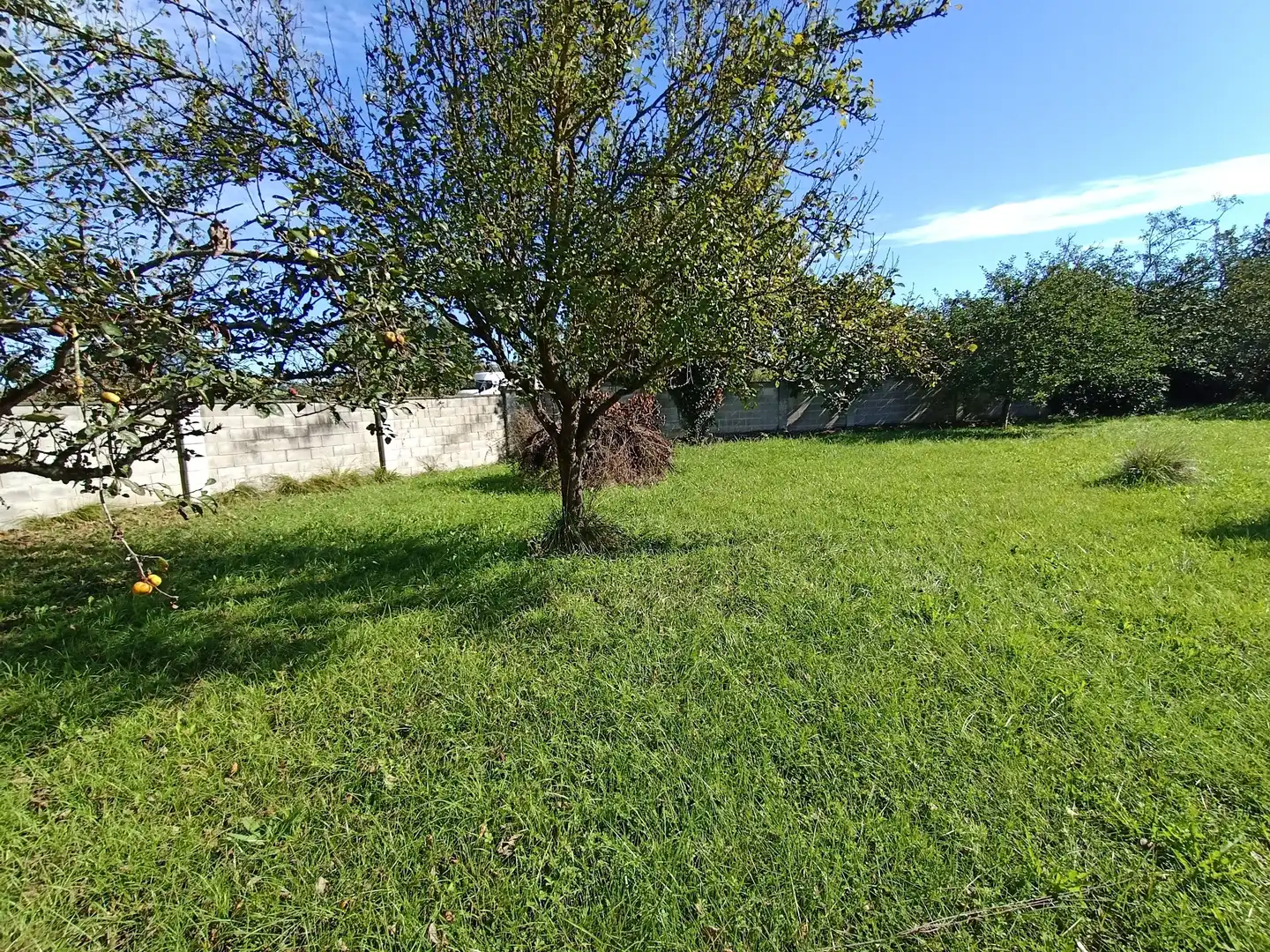 Residential land for sale in Calle Conde de Santa Barbara 31, imagen 22