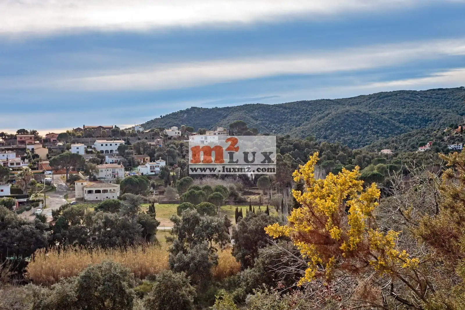 Terreny residencial en venda a Carrer Eucaliptus 14