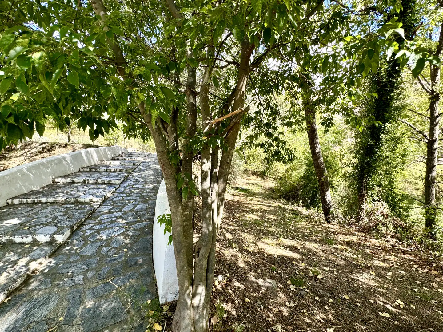Terreno en venta en Alpujarra de la Sierra