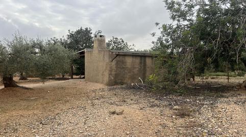 Foto 2 de Finca rústica en venda a  Polígono 81 Parcela 6 Ulldellops. L'ampolla (tarr, 81, L'Ampolla, Tarragona