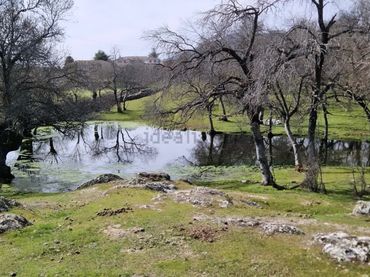 Terreno rústico en venta en Calle Guadamolinos