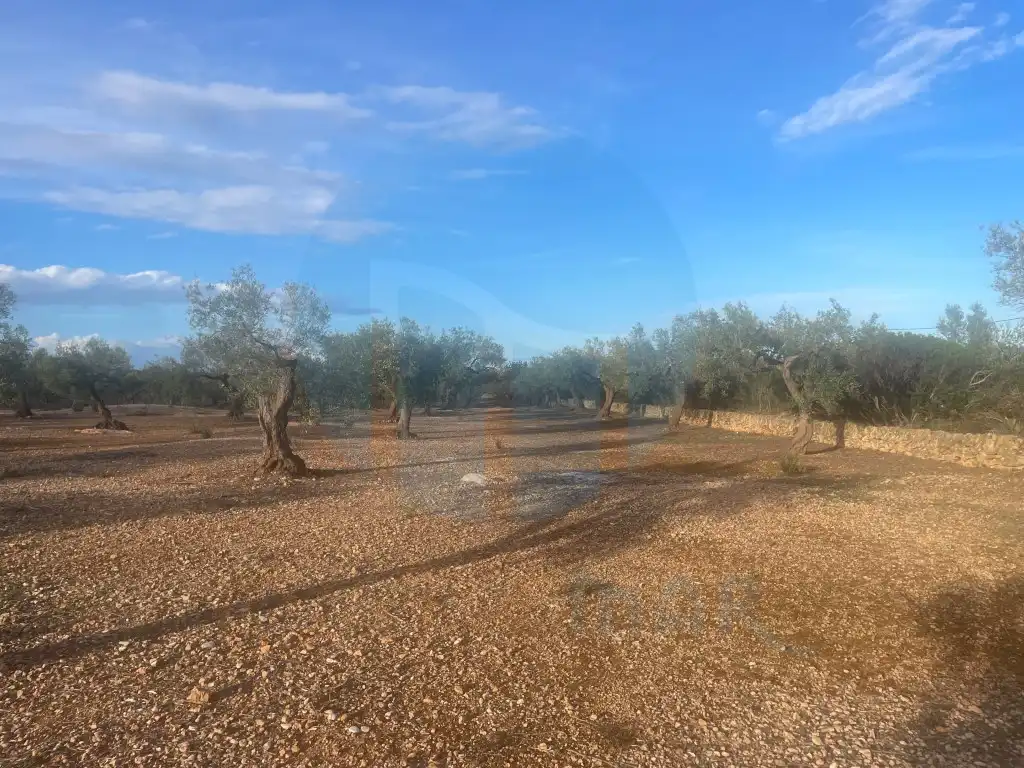 Country house for sale in L'Ampolla, imagen 2