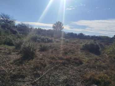 Terreno rústico en venta en L'Olleria
