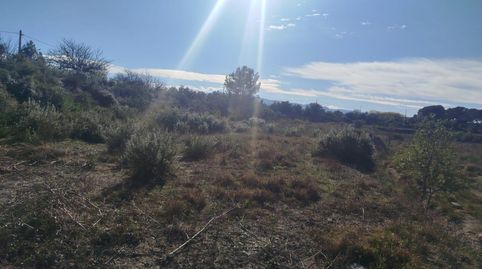 TERRENO RUSTICO AGRARIO ,CON OLIVOS EN PRODUCCIÓN