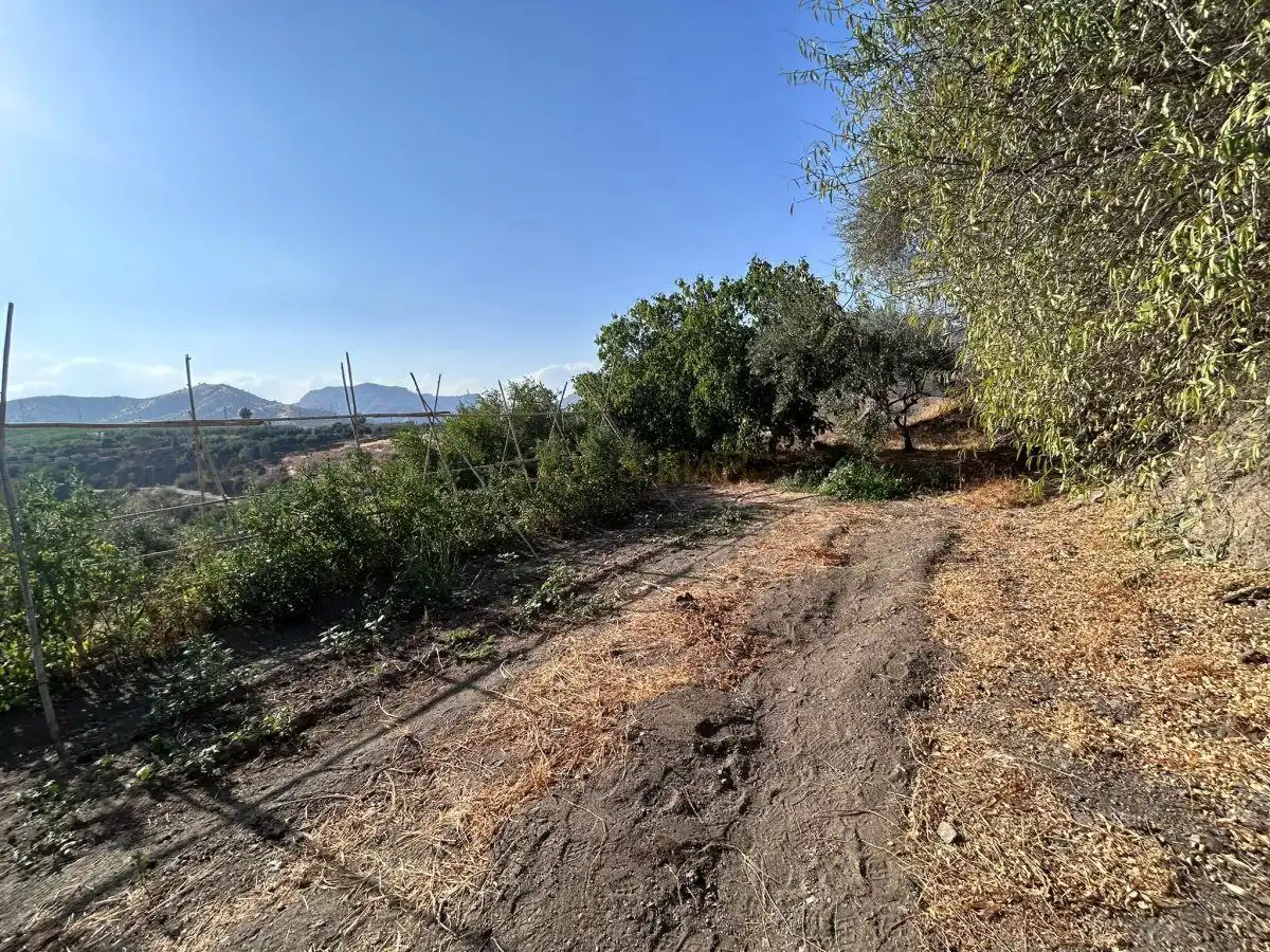 Casa o xalet en venda en Álora amb Calefacció, Terrassa i Traster