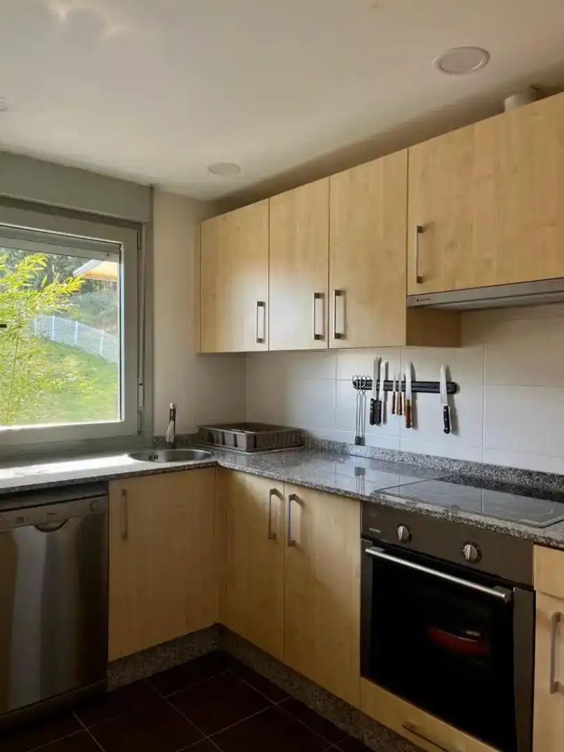 Kitchen of Flat for rent in Barreiros, Lugo