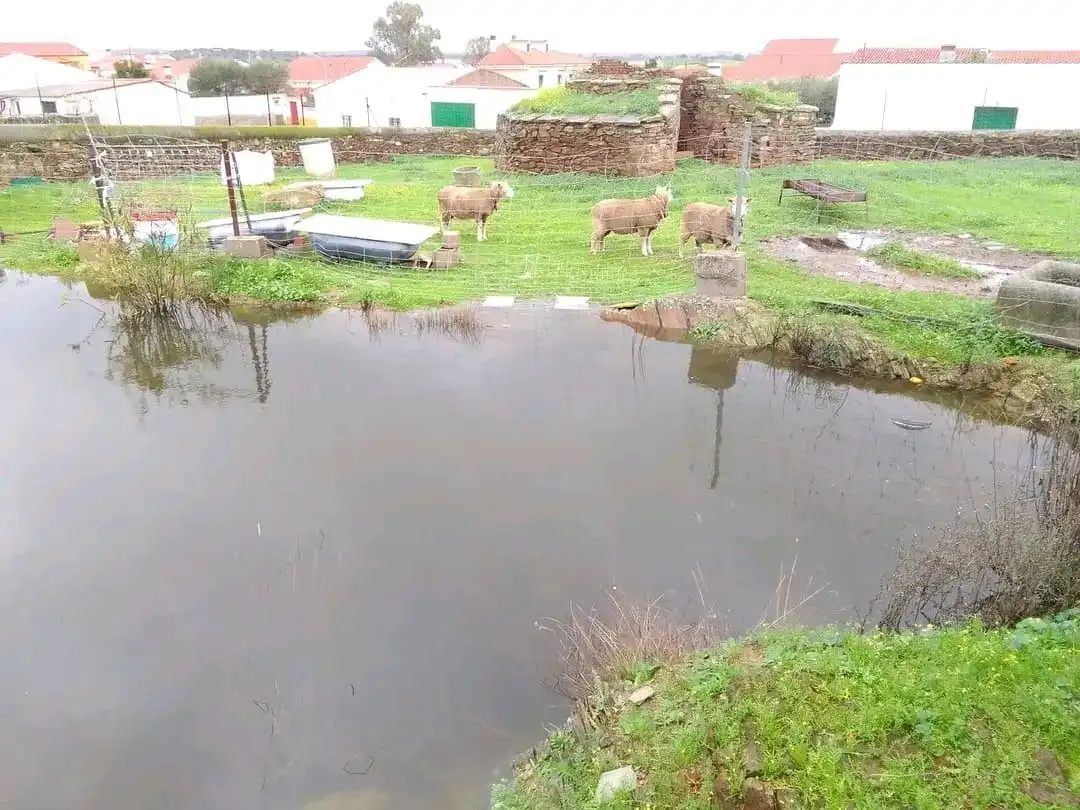 Residencial en venda en Salorino
